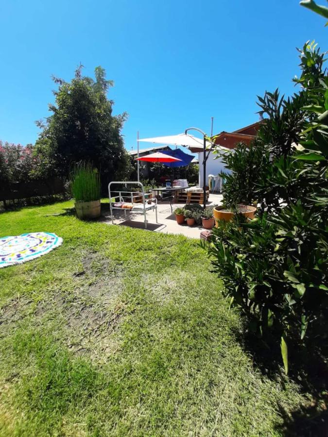 Apartmán Cabana Corazon De Colchagua Sta Cruz Nancagua  Exteriér fotografie
